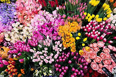 玩家讨论《勇者斗恶龙》历代最强BOSS 索玛还不算